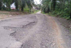 Kondisi Jalan Desa Harapan Makmur Memburuk, Warga Harapkan Perbaikan Segera