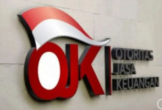 Pansel Buka Lowongan Dewan Komisioner OJK, Anggota Parpol Dilarang Daftar