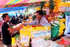 Perum Bulog Salurkan 1,3 Juta Ton Beras SPHP Hingga Akhir Tahun Ini