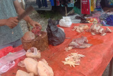 Harga Daging Masih Stabil