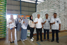 Cek Ketersediaan Beras di Gudang Bulog, DKPP Pastikan Stok Aman Hingga Enam Bulan