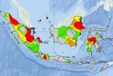 Isu Bencana Gempa Megathrust, Ini Pesan BPBD Bengkulu Tengah 