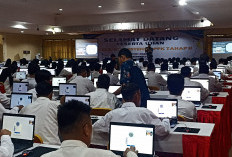 Ramai Perbandingan Gaji PPPK dan PNS, Ini Fakta Lengkapnya!