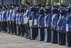 Nasib Tenaga Honorer yang Gagal Lolos PPPK & CPNS 2024: Ini Jabatan yang Akan Dipegang!