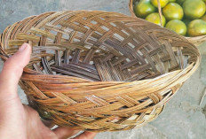 Kreativitas Kades Padang Betuah: Olah Limbah Sawit Jadi Kerajinan Bernilai Ekonomi