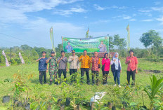 1.200 Pohon Ditanam Serentak, 100 Paket Sembako Dibagikan ke Warga Kurang Mampu 