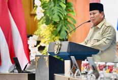 Prabowo Apresiasi Peran Baznas Salurkan Bantuan Kemanusiaan untuk Palestina