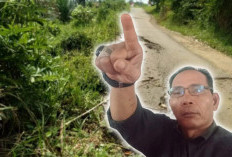 Jalan tak Kunjung Tersentuh Perbaikan Setahun Terakhir, Begini Kata Tomas Bengkulu Tengah