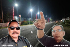 Karut-Marut Proyek Lampu Berbinar di Sekolah Hingga Jadi Atensi Bupati, Aktivis LSM dan Politisi Soroti