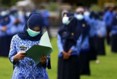 Pendamping PKH, TKSK, dan PRS Menerima SK PPPK, Jumlahnya Lumayan Banyak