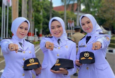 Ini Alasan Kenapa Kamu Harus Ikut Bimbingan Belajar Kedinasan