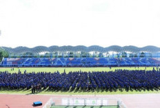 Gaji PPPK Paruh Waktu Sesuai UMK, Anggaran Aman Hingga Beberapa Tahun