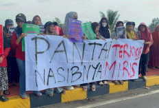 Baca 5 Tuntutan Mendesak Pemerintah, Aksi Hari Bumi Soroti Ancaman Abrasi di Pondok Kelapa