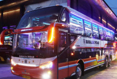 Desain Bus Baru PO Rosalia Indah Jadi Sorotan, Kamuflase Double Decker Paling 'Sempurna'?