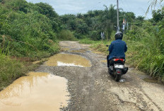 Kecewa Akses Jalan Lubuk Sini-Lubuk Durian Tak Kunjung Dibangun, Warga Berpesan Begini Bagi Calon Gubernur