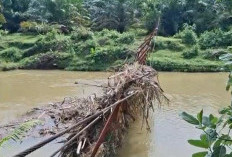 Enam Tahun Jembatan Kertapatih Mudik Terputus, Warga Bengkulu Tengah Harap Pemerintah Segera Bertindak