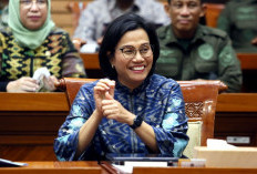 Sri Mulyani Masuk Bursa Pilgub Jakarta, Stafsus Menkeu Singgung Soal Parpol