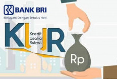 Adanya KUR BRI Debitur Semakin Dipermudah Kembangkan Usaha, Bunga Kecil Pencairan Cepat