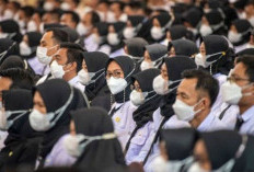 Saat Ini Fokus pada PPPK Tahap 2, Setelah Itu Paruh Waktu