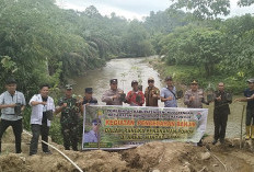Cegah Banjir dan Abrasi, 500 Pohon Matoa Ditanam di Sekayun Hilir