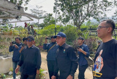 Sejumlah Izin Lingkungan di Kawasan Puncak Dicabut, Menteri LH Tegas Bilang Begini