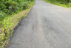 Jalan Hotmix Taba Lagan - Pagar Gunung Mulai Retak, Warga Soroti Kualitas Pengerjaan