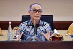 Data Resmi BKN 10 Instansi Usulan PPPK Paruh Waktu Terbanyak Ditolak