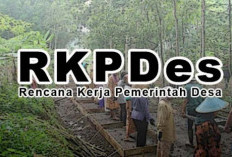 Pemdes Harapan Gelar Musdes Penyusunan RKPDes Tahun 2025