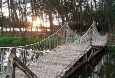 Sudahi Polemik Internal, Akhir Bulan Ini Wisata Danau Nibung Dibuka Kembali