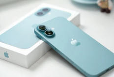 7 Cara Membedakan iPhone Asli dan Palsu agar Tidak Rugi, Pembeli Wajib Tahu!
