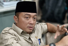 Satgas PKH Kembalikan 4 Juta Hektare Kawasan Hutan ke Negara