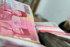 BKN Ungkap Solusi Pembayaran Gaji PPPK Paruh Waktu, Pemda Seharusnya Tidak Kesulitan