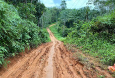 Akses Jalan Padang Siring-Desa Karang Nanding Dibangun Tahun 2025