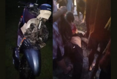 Tabrak Pantat Pick Up, Pengendara Honda Scoopy Dilarikan ke Rumah Sakit Bengkulu Tengah