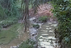 Warga Ini Ungkap Alasan Penutupan Akses Menuju Perkebunan di Desa Padang Tambak