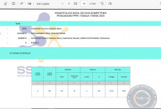 Pengumuman Hasil Seleksi PPPK Tahap 2: Banyak R2 Terlempar, Apalagi R3 & R4
