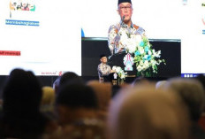 Seluruh Kepala Daerah Diminta Rekatkan PNS dan PPPK, Kepala BKN: Jangan Dibikin Berantem