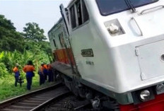 KA Pandalungan Anjlok, KAI Rekayasa Perjalanan Kereta Lokal