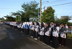 300 Guru di Bengkulu Tengah Meradang, TPG Triwulan III dan IV Tahun 2025 Tak Kunjung Dibayarkan