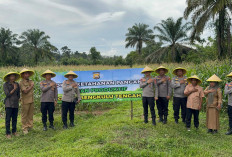 Itwasum Mabes Polri Tinjau Program Ketahanan Pangan di Benteng, Segini Luasan Lahannya