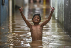 BPBD DKI Sebut 24 RT di Jakarta Masih Terendam Banjir