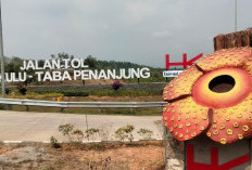 Termasuk Tol Bengkulu-Taba Penanjung, Segini Panjang Jalan Tol Trans Sumatra Dibangun Era Jokowi