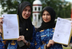 Kapan SK PPPK Paruh Waktu 2025 Keluar? Simak Penjelasannya