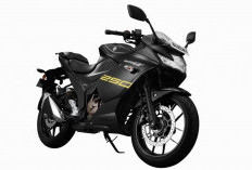 Suzuki Gixxer 250SF Masuk dalam Program Perbaikan, Gratis!