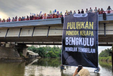 Abrasi Semakin Mengancam, Walhi Gaungkan ‘Pulihkan Pondok Kelapa, Bengkulu Menolak Tenggelam’