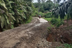 Akses Jalan Penghubung Kecamatan Bang Haji-Kecamatan Pematang Tiga Rusak Parah, Panjangnya Capai