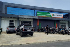 Bank Bengkulu Tawarkan Kredit Multiguna untuk PPPK, Ini Syarat dan Ketentuannya