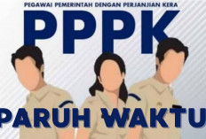 Daftar 13 Instansi Daerah yang Sudah Mengumumkan Alokasi PPPK Paruh Waktu