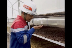 Kopi (K)Mojang