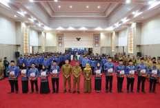 Begini Kalimat Gubernur soal Nasib Honorer Gagal PPPK Paruh Waktu